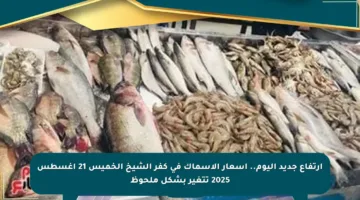 ارتفاع جديد اليوم.. أسعار الأسماك في كفر الشيخ الخميس 21 أغسطس 2025 تتغير بشكل ملحوظ
